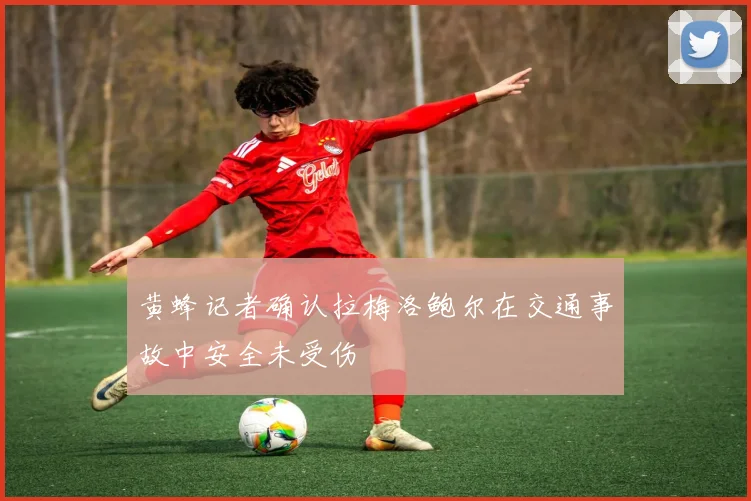 黄蜂记者确认拉梅洛鲍尔在交通事故中安全未受伤